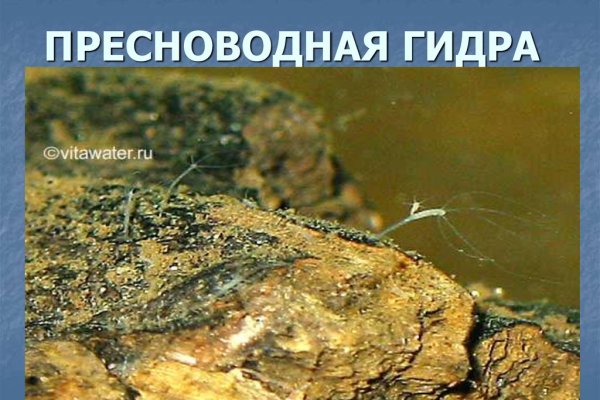 Кракен площадка что это