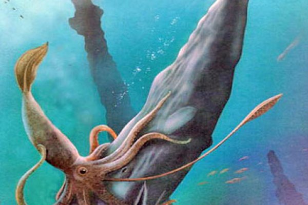 Kraken зеркало krakens13 at