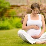 What is the placenta, when is it formed and what functions does it perform?